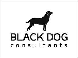 BlackDog Consultants